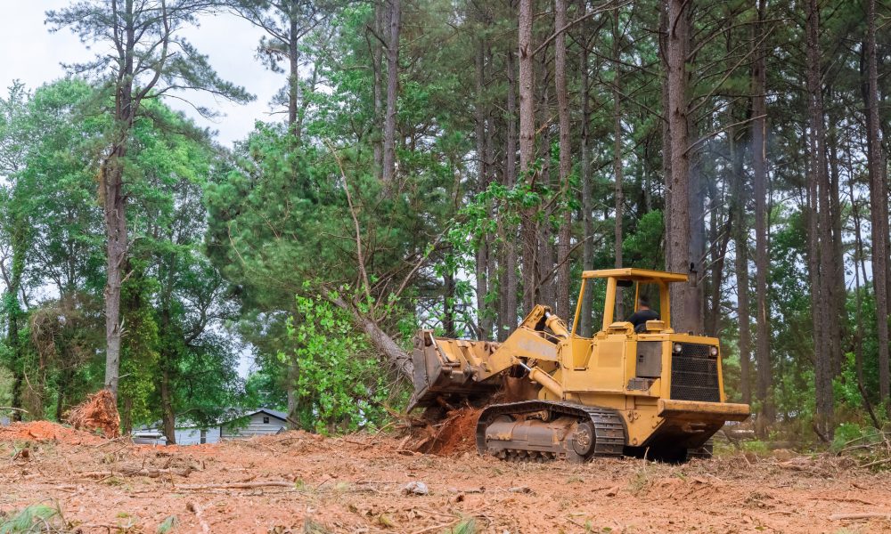 Contractor used tractor skid steers to remove trees from property during construction process in order prepare land for subdivision development.