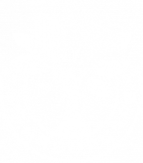 Transparent Logo